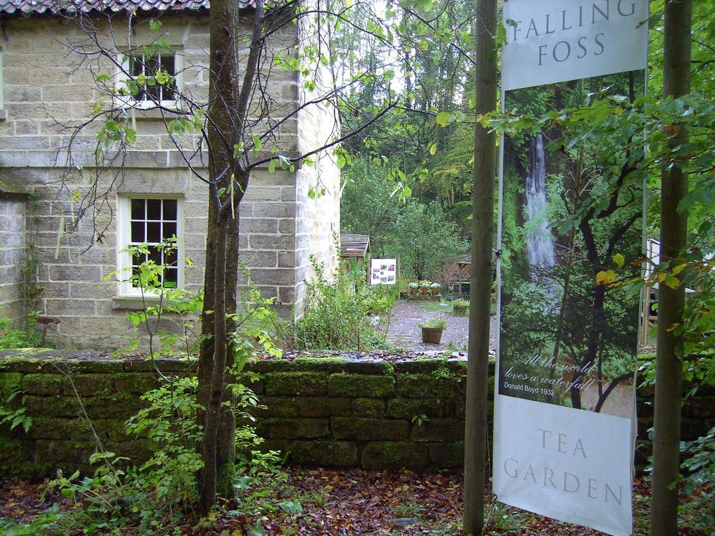Thorpe Green House Vegetarian Bed & Breakfast Robin Hood's Bay Eksteriør bilde