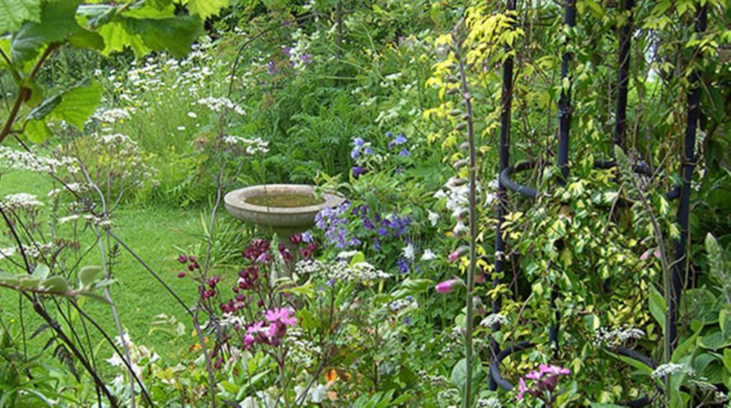 Thorpe Green House Vegetarian Bed & Breakfast Robin Hood's Bay Eksteriør bilde