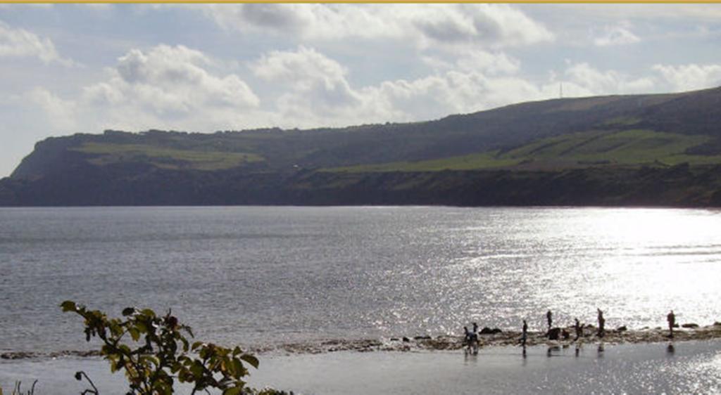Thorpe Green House Vegetarian Bed & Breakfast Robin Hood's Bay Eksteriør bilde