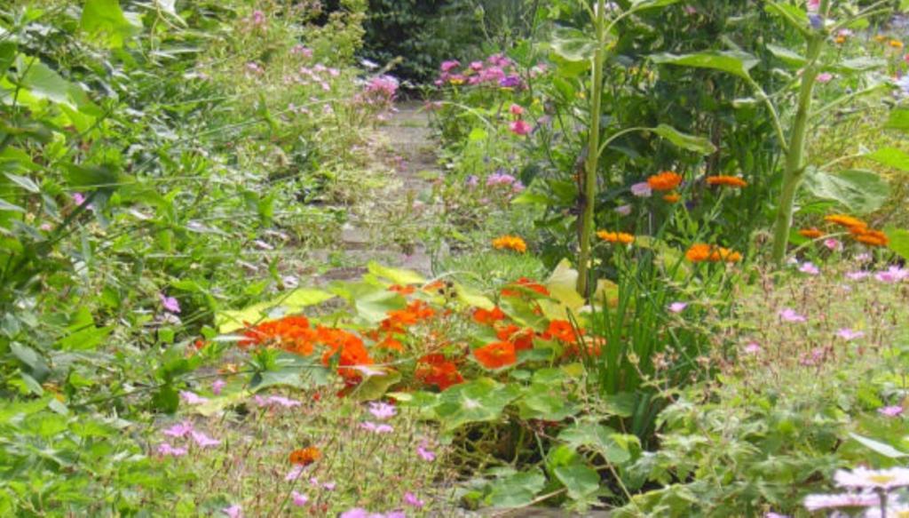 Thorpe Green House Vegetarian Bed & Breakfast Robin Hood's Bay Eksteriør bilde