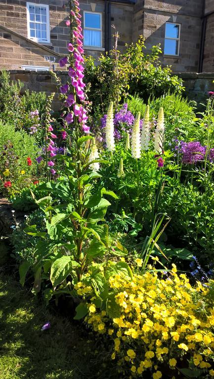 Thorpe Green House Vegetarian Bed & Breakfast Robin Hood's Bay Eksteriør bilde