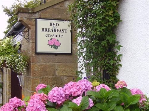 Thorpe Green House Vegetarian Bed & Breakfast Robin Hood's Bay Eksteriør bilde