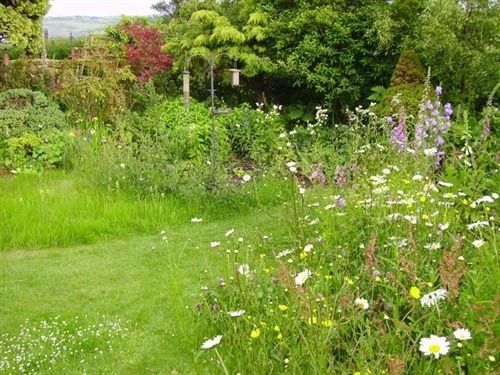 Thorpe Green House Vegetarian Bed & Breakfast Robin Hood's Bay Eksteriør bilde